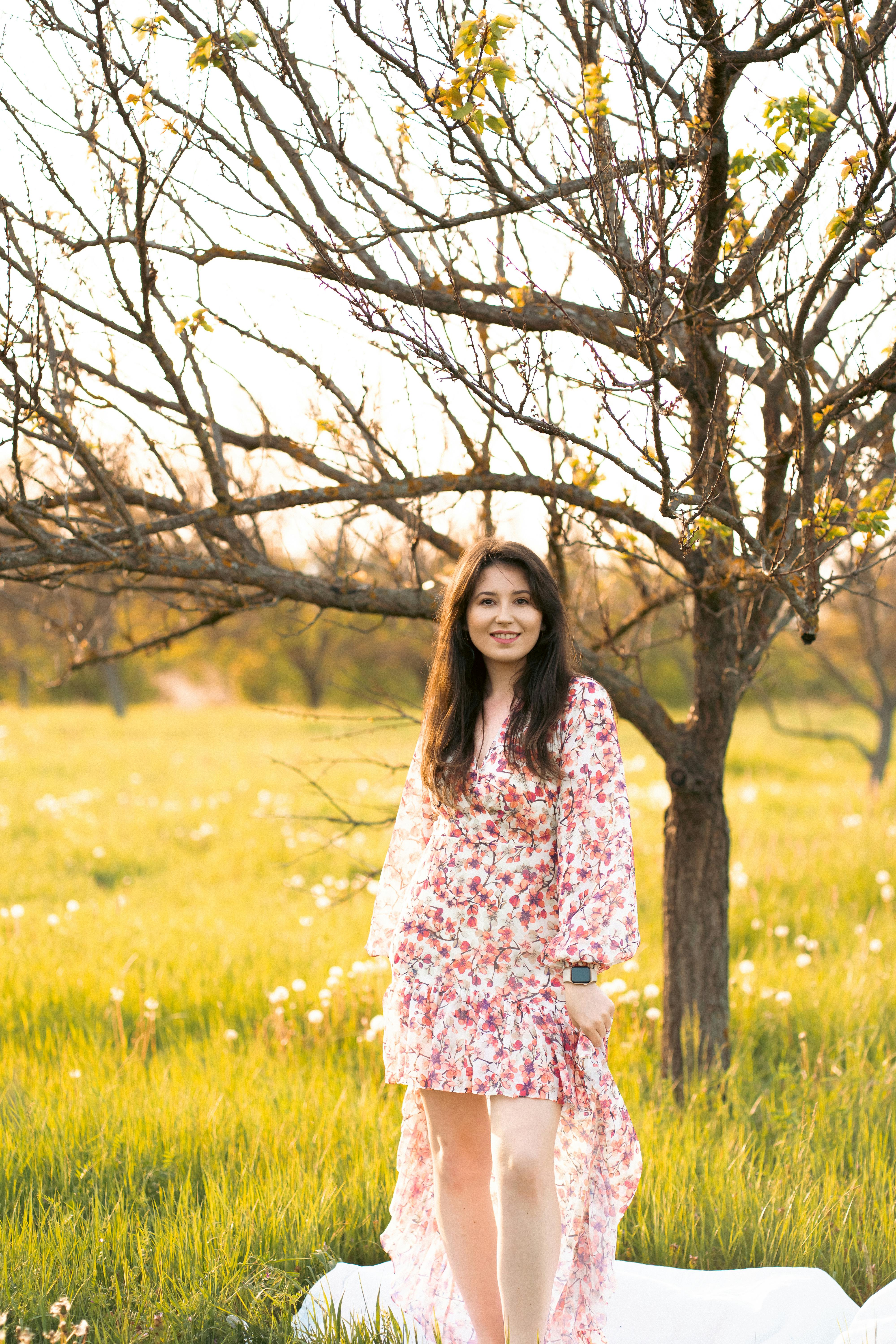 评分榜第5名海报